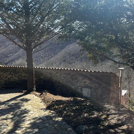 Apartament Mas Caraus Montferrer Zewnętrze zdjęcie